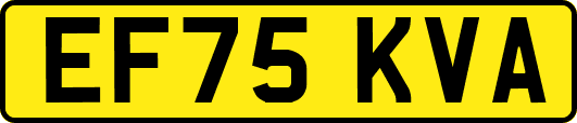 EF75KVA