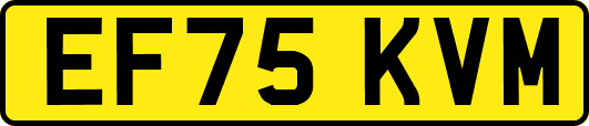 EF75KVM