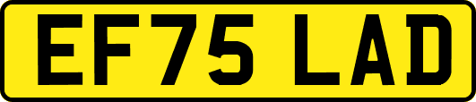 EF75LAD