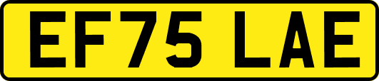 EF75LAE