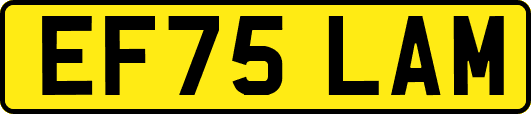 EF75LAM