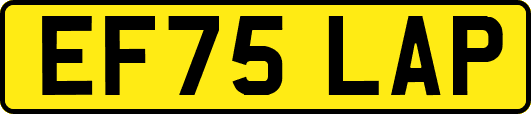 EF75LAP