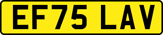 EF75LAV