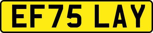 EF75LAY