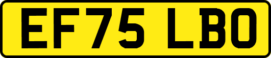 EF75LBO