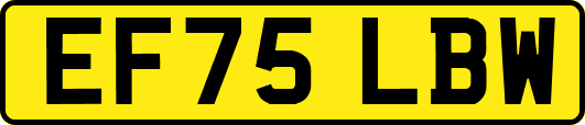 EF75LBW