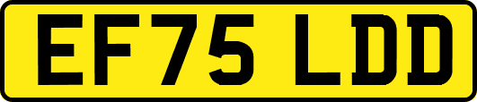 EF75LDD