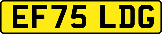 EF75LDG