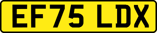 EF75LDX