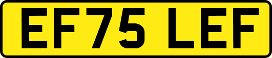 EF75LEF