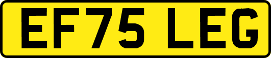 EF75LEG