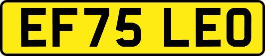 EF75LEO