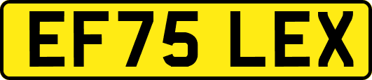 EF75LEX