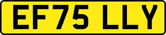 EF75LLY