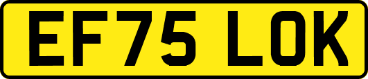 EF75LOK