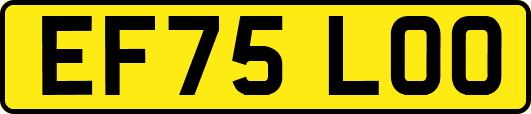EF75LOO