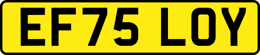EF75LOY