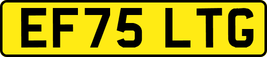 EF75LTG