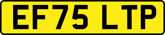 EF75LTP