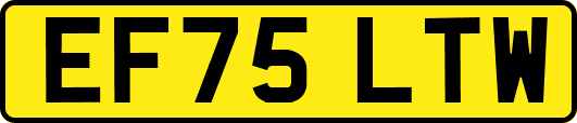 EF75LTW