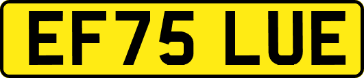 EF75LUE