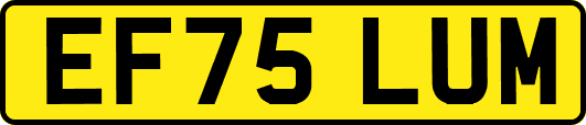 EF75LUM