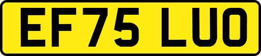 EF75LUO