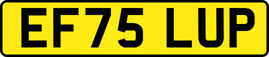 EF75LUP