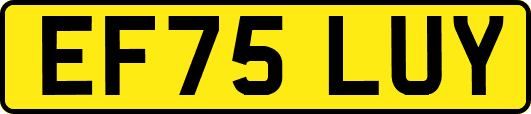 EF75LUY