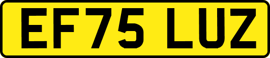 EF75LUZ