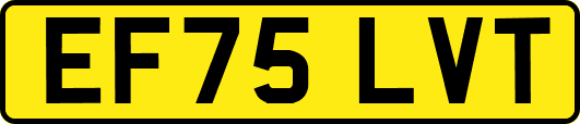 EF75LVT
