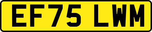 EF75LWM