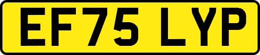 EF75LYP