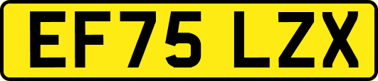 EF75LZX