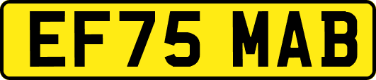 EF75MAB
