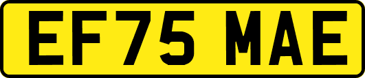 EF75MAE