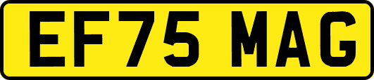 EF75MAG