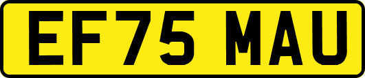 EF75MAU
