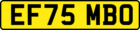 EF75MBO
