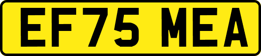 EF75MEA