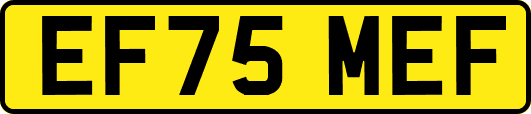 EF75MEF