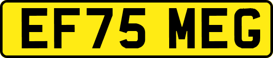 EF75MEG
