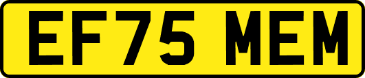 EF75MEM