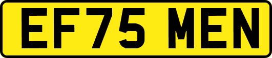 EF75MEN