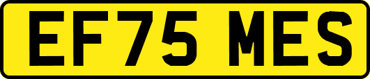 EF75MES