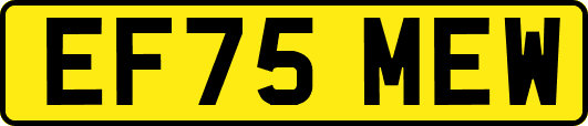 EF75MEW