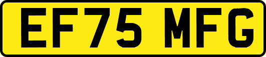 EF75MFG