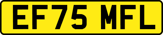 EF75MFL