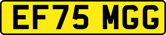 EF75MGG