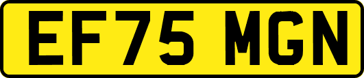 EF75MGN